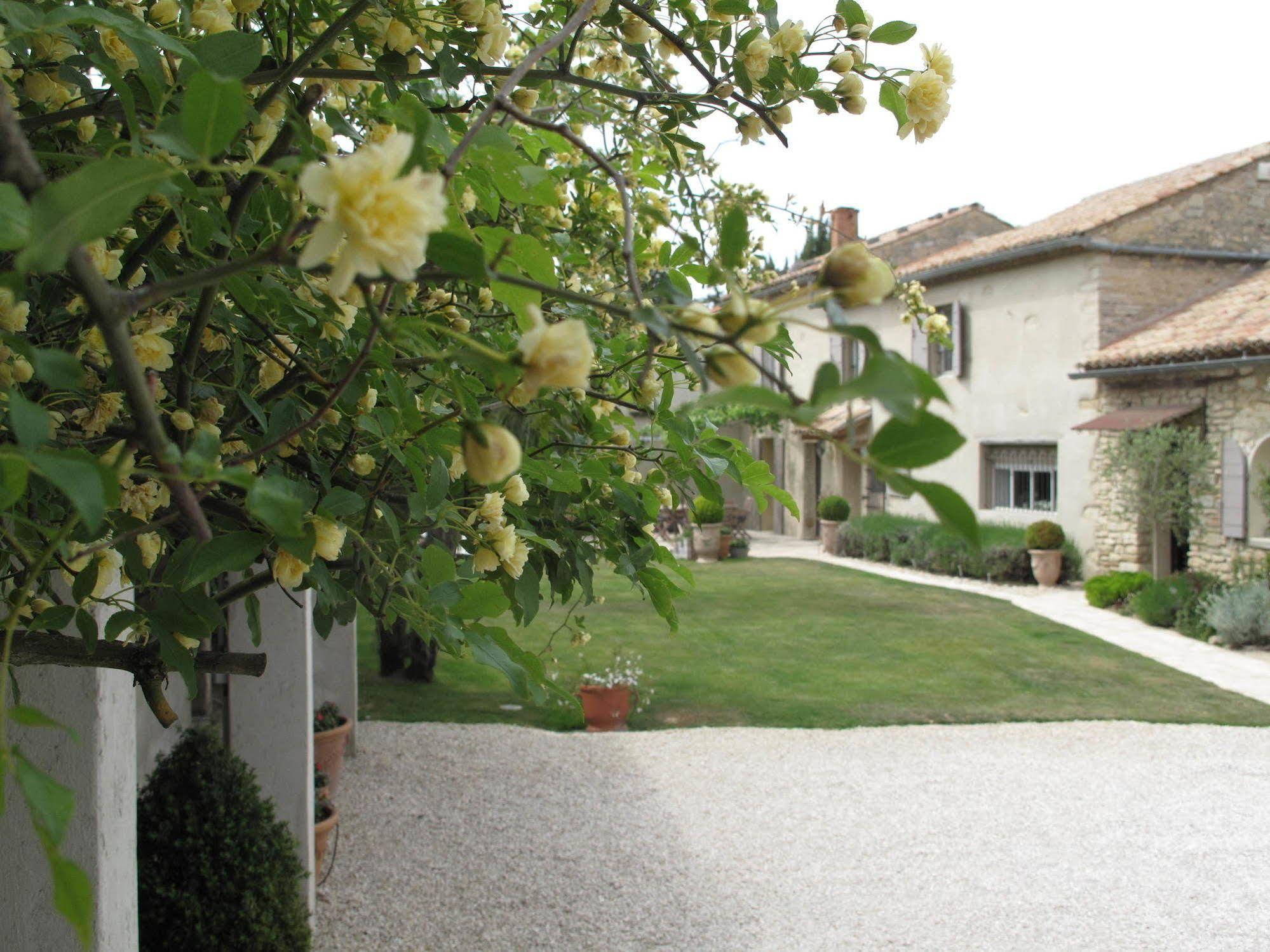 Le Mas De L'Olivier Hotel Loriol-du-Comtat Buitenkant foto